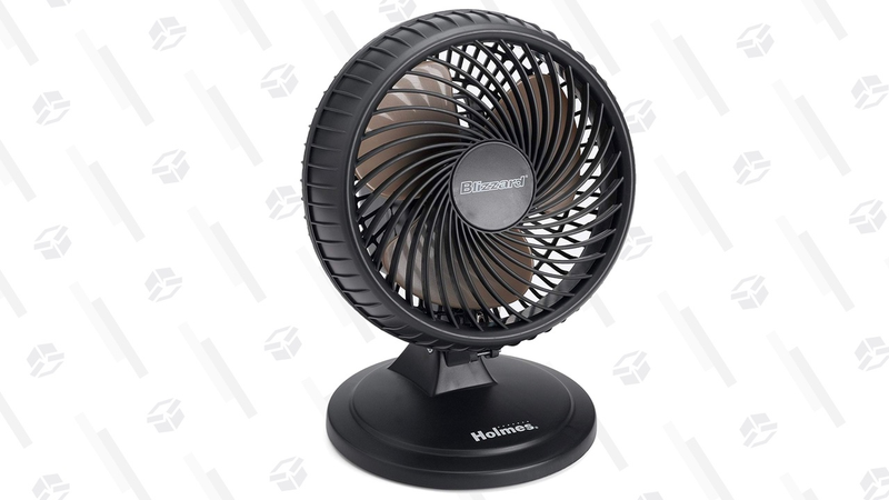 Ventilador Holmes Lil’ Blizzard de 8' | $15 | AmazonGráfico: Erica Offutt